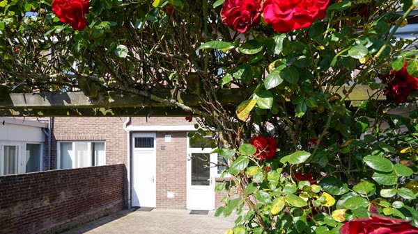 Medium property photo - Sint Servatiusweg 31, 6227 TP Maastricht